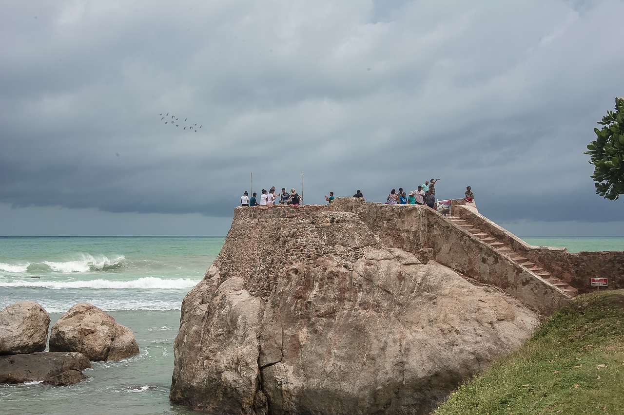 galle-4818526_1280 (1)